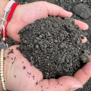 topsoil handful